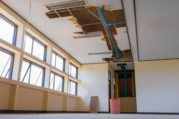 Best Water damage restoration near me  in Beaver, WV