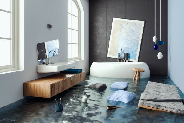 Best Mold removal after water damage  in Beaver, WV