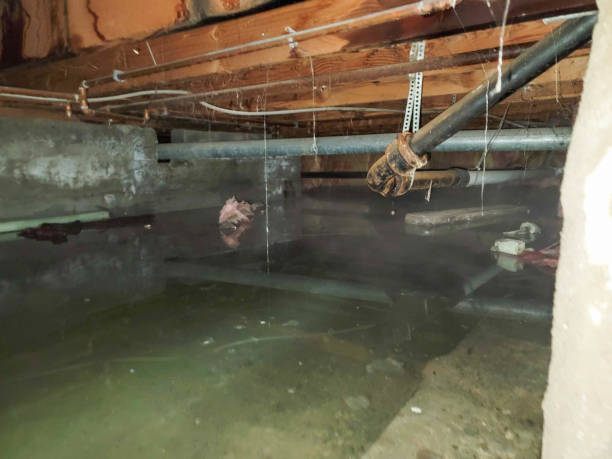 Best Fire Damage Restoration  in Beaver, WV