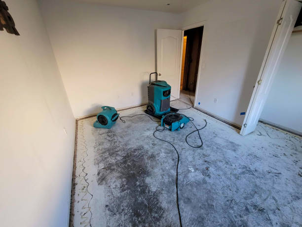 Best 24/7 water damage repair  in Beaver, WV