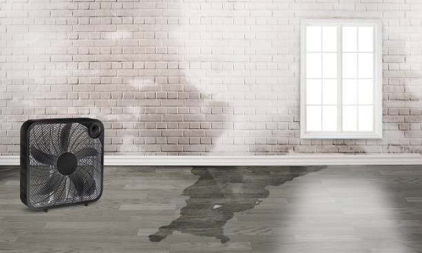  Beaver, WV Water damage restoration Pros
