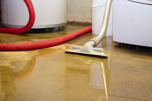 Best Professional water damage repair  in Beaver, WV