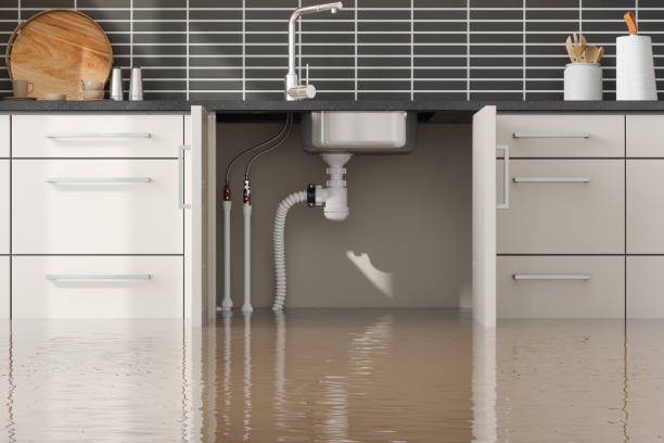 Best Flooded house restoration  in Beaver, WV