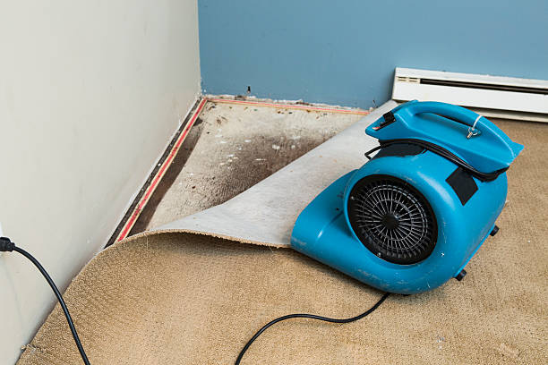 Best Water damage contractors near me  in Beaver, WV